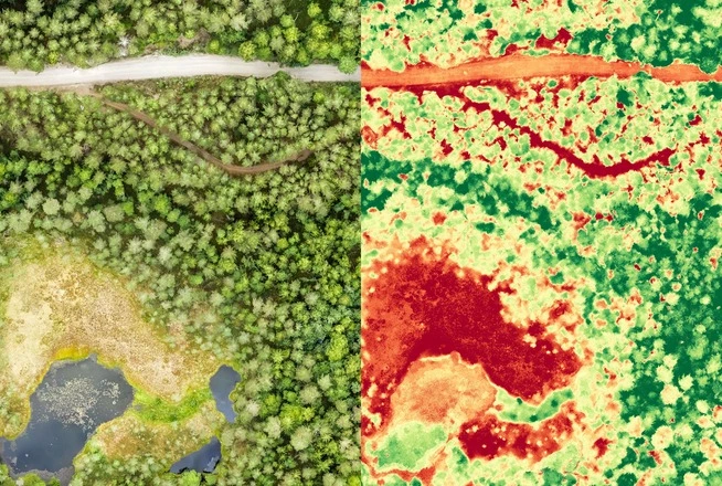 multispectral ndvi image of vegetation